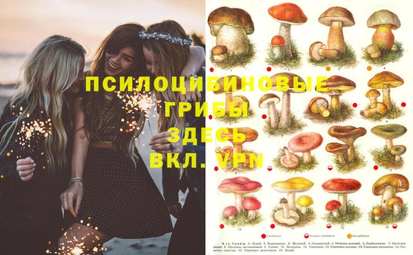 MESCALINE Алзамай
