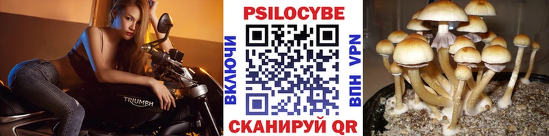 Галлюциногенные грибы GOLDEN TEACHER  даркнет сайт  блэк спрут вход  Константиновск 